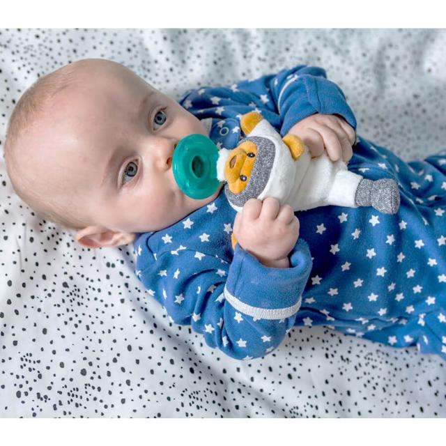 メリーマイヤー おしゃぶり