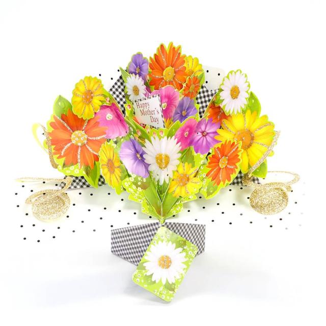 セカンドネイチャー ポップアップカード