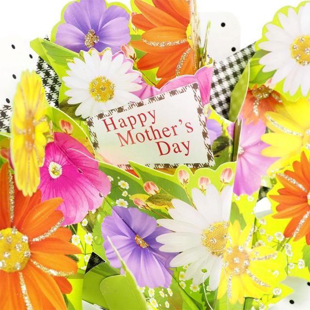 セカンドネイチャー ポップアップカード