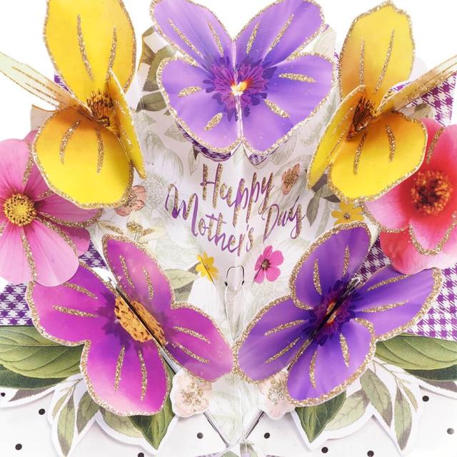 セカンドネイチャー ポップアップカード