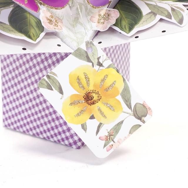 セカンドネイチャー ポップアップカード