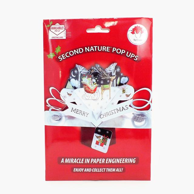 セカンド・ネイチャー