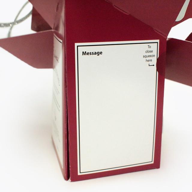 セカンド・ネイチャー