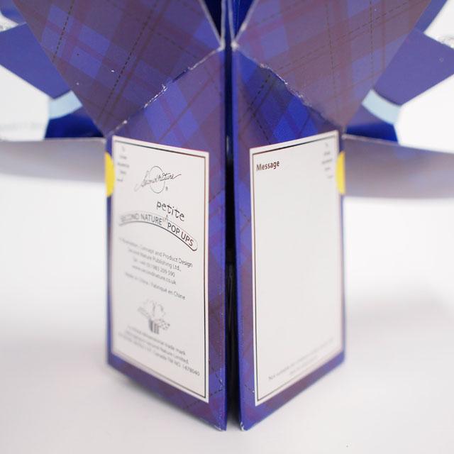 セカンド・ネイチャー