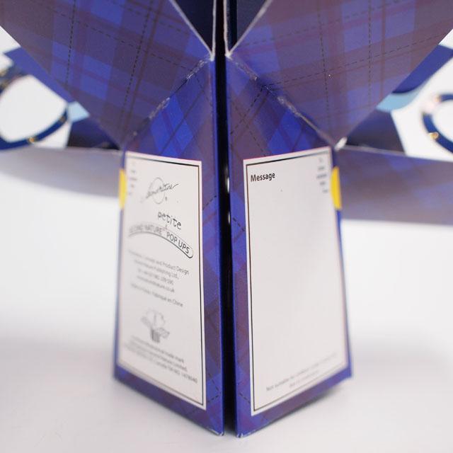 セカンド・ネイチャー