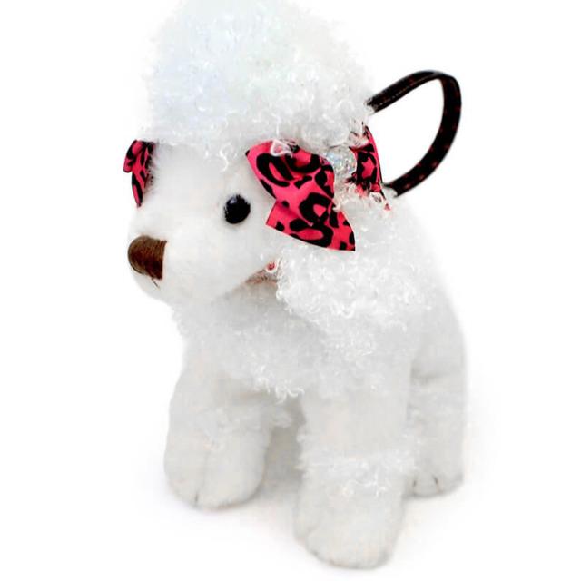 ナッツ＆ジュール プードル