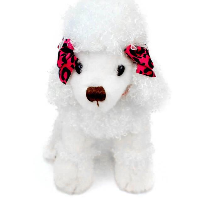 ナッツ＆ジュール プードル