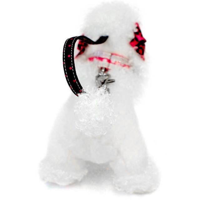 ナッツ＆ジュール プードル