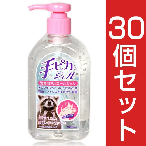 手ピカジェル 300ml 〔医薬部外品〕×6個セット 健栄製薬