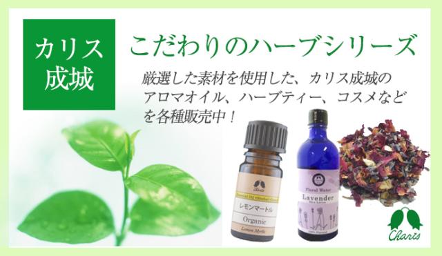 カリス成城 ソープの素 パウダータイプ 1kg