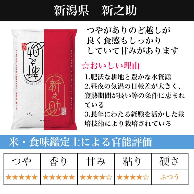 5kg お 米 新之助 パッケージ 令和7年産 新潟産新之助 5kg お米 5キロ