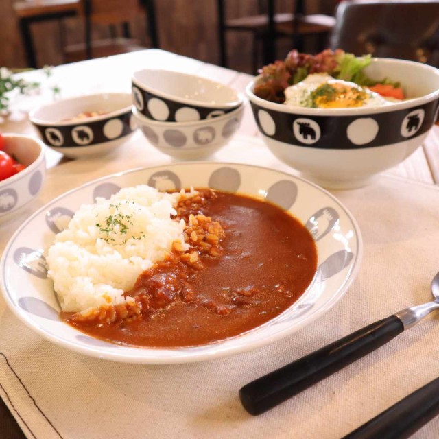 カレー皿 21.5cm ペアセット moz 美濃焼 陶器 （ 食洗機対応 電子