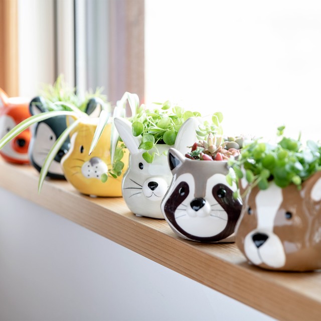 プランター アニマル ポット ( 植木鉢 プラントポット 陶器 プランター アニマル ポット ( 植木鉢 プラントポット 陶器