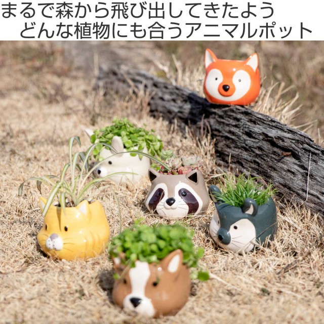 プランター アニマル ポット （ 植木鉢 プラントポット 陶器