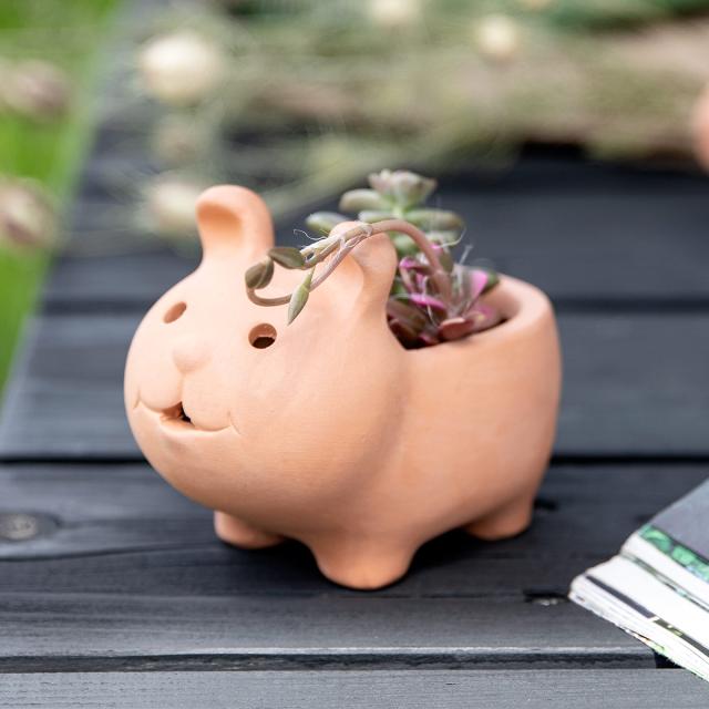 プランター アニマルテラコッタポット ネコ 2号 （ 植木鉢 プラント