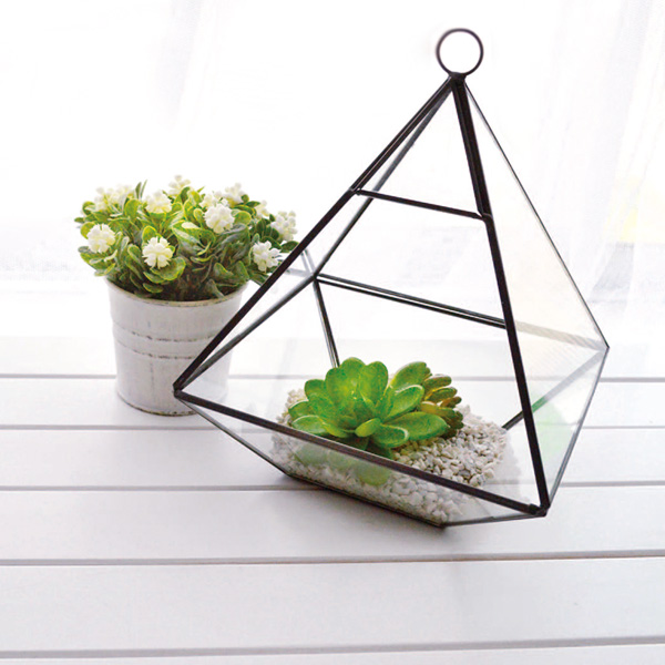 ガラス製　ディスプレイケース　テラリウム 楽天市場】テラリウム スクエア S ガラス ディスプレイケース