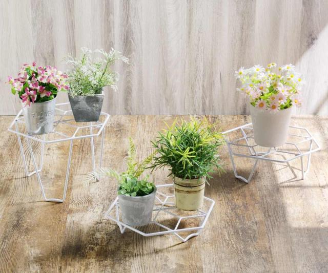 ガーデニング　フラワースタンド　プランタースタンド uni452310.jpg