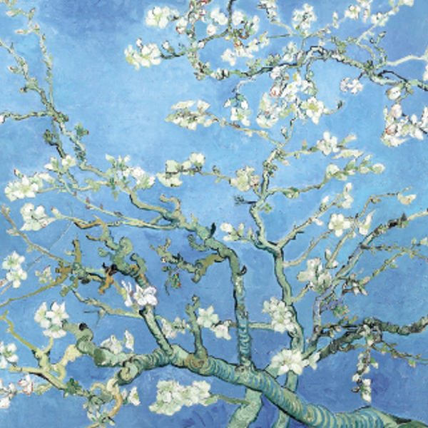 本物保証2022 絵画 ( 花 壁掛け の通販はau PAY マーケット - インテリアパレット|商品ロ 『花咲くアーモンドの木の枝』 42×52cm フィンセント・ヴィレム・ファン・ゴッホ 1890年 額入り 巧芸画 インテリア セールお得