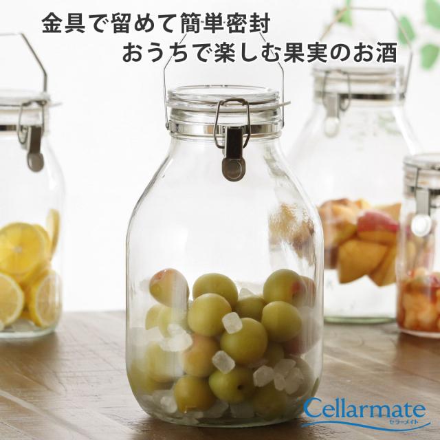 果実酒びん 4L 取手付密封びん セラーメイト （ 日本製 ガラス