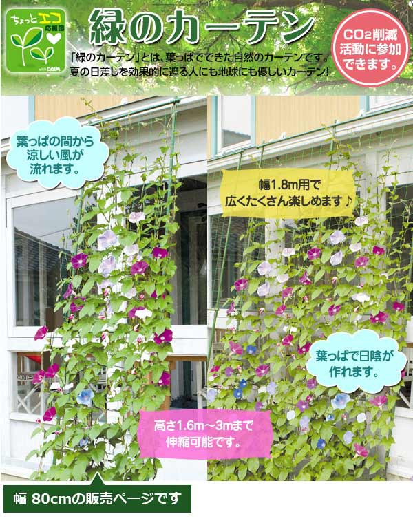 高知インター店 緑のカーテン 伸縮ワイド 幅80cm 高さ1 6 3m 2個セット 送料無料 日よけ 日除け グリーンカーテン 暑さ対策 グッズ 遮光 目隠し エ 在庫有 Www Songtainews Net