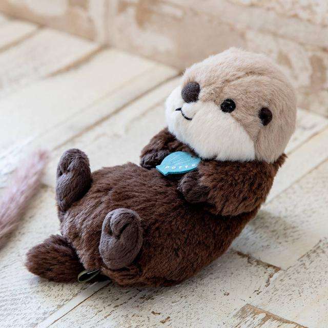 ラッコのぬいぐるみ ぬいぐるみ potte ラッコ （ ヌイグルミ らっこ 動物 雑貨