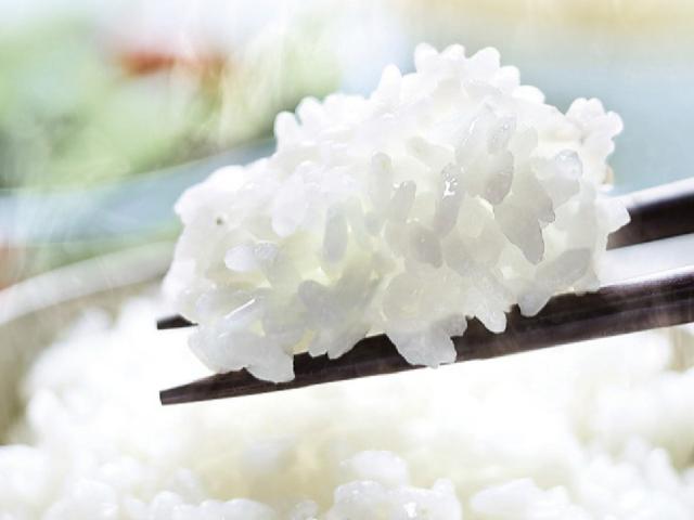 象印 マイコン炊飯器 3合炊き 極め炊き 小容量 （ ZOJIRUSHI 象印マホービン 3合 ジャー 保温 厚釜 2.5mm 高火力 豪熱沸とう ごはん 白米 麦ごはん 雑穀米 無洗米 しゃもじ付き 調理家電 キッチン家電 ）