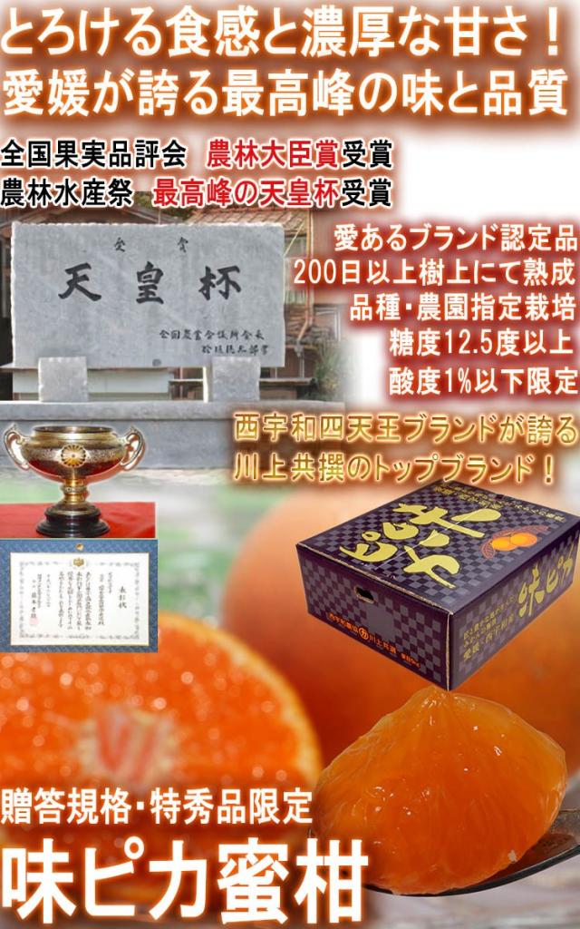 味ピカ みかん
