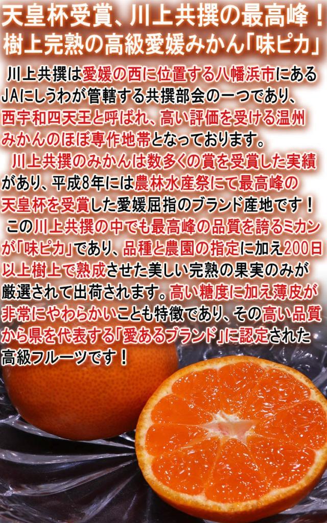 蜜柑 味ピカ