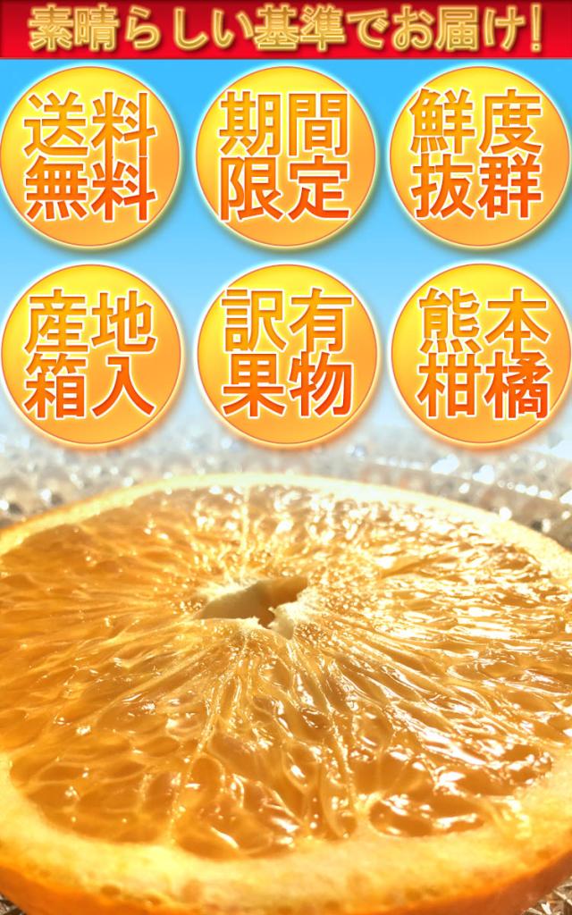 柑橘 送料無料