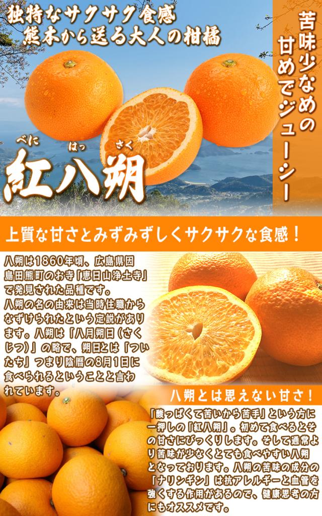 紅八朔 送料無料