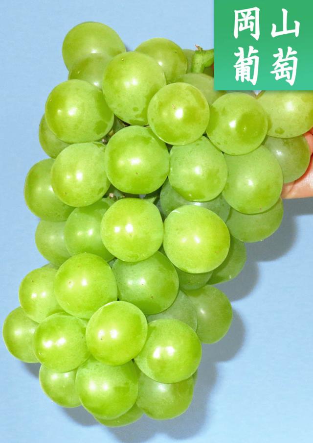 アレキサンドリア 果物