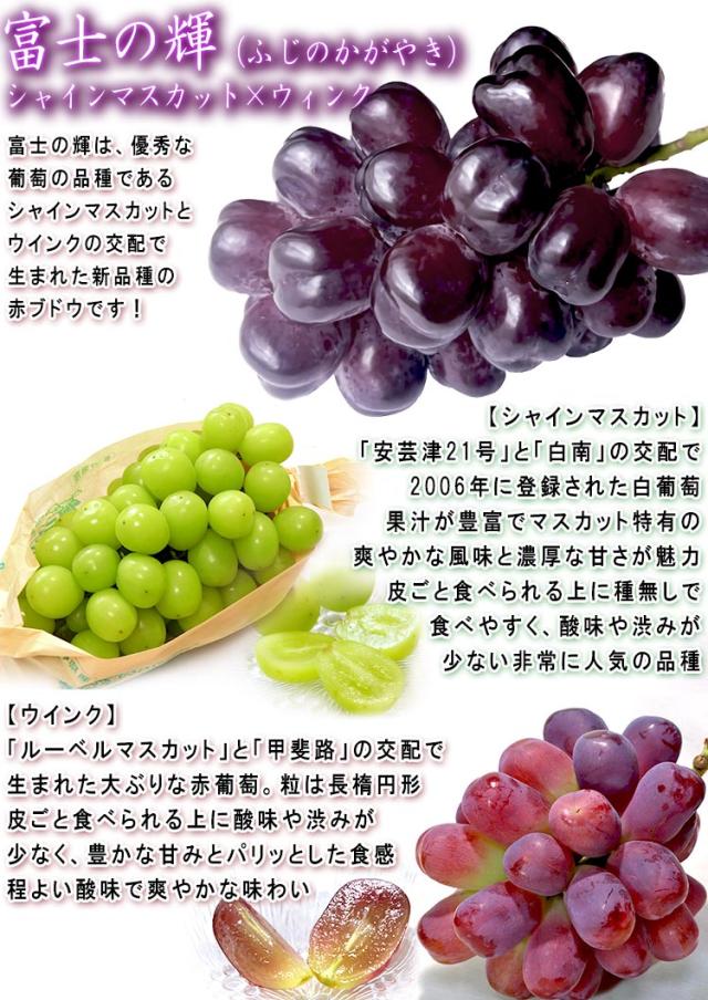 フルーツ ぶどう