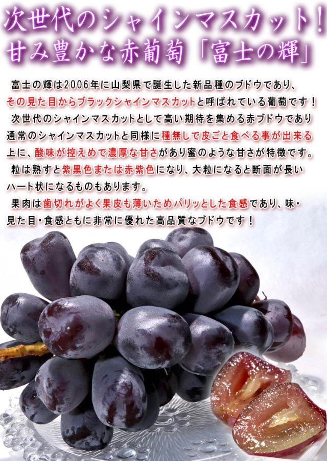ふじのかがやき 葡萄