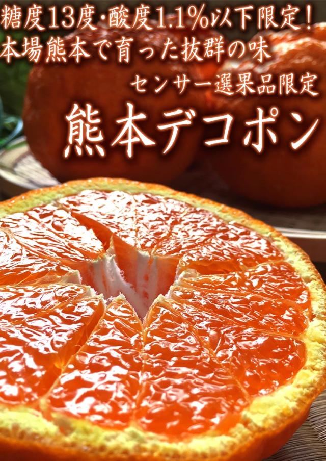 デコポン 熊本