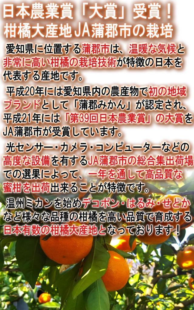 柑橘 がまごおり