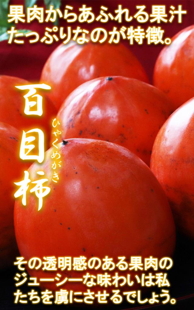 送料無料 フルーツ