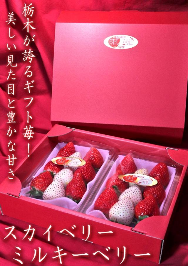 ミルキーベリー スカイベリー