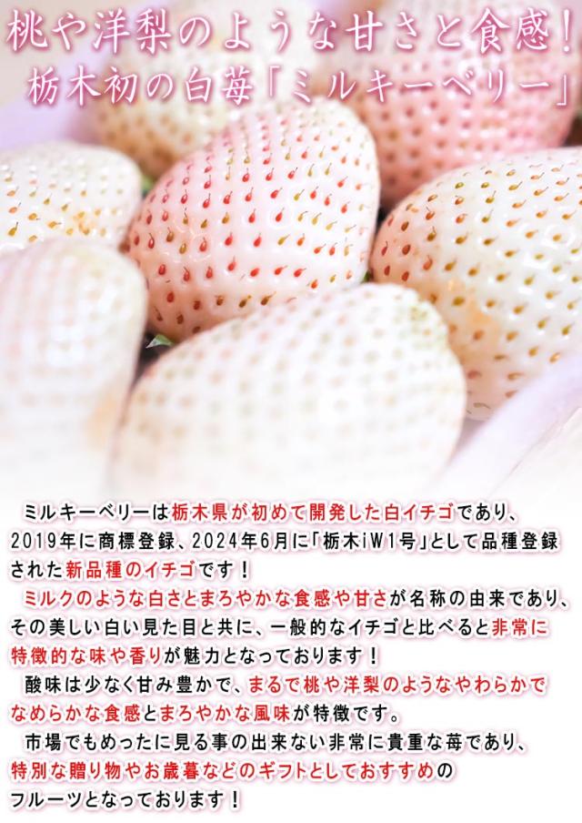 ミルキーベリー いちご