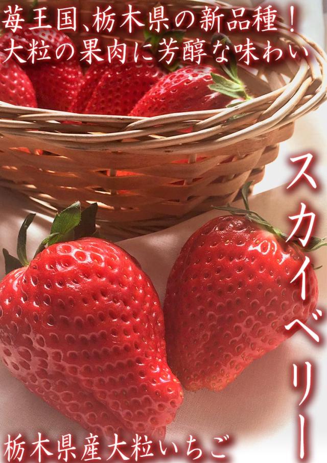 栃木 スカイベリー