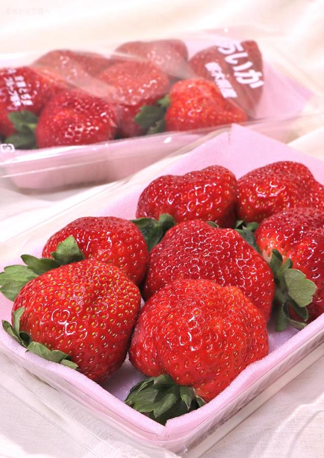 とちあいか とちぎ