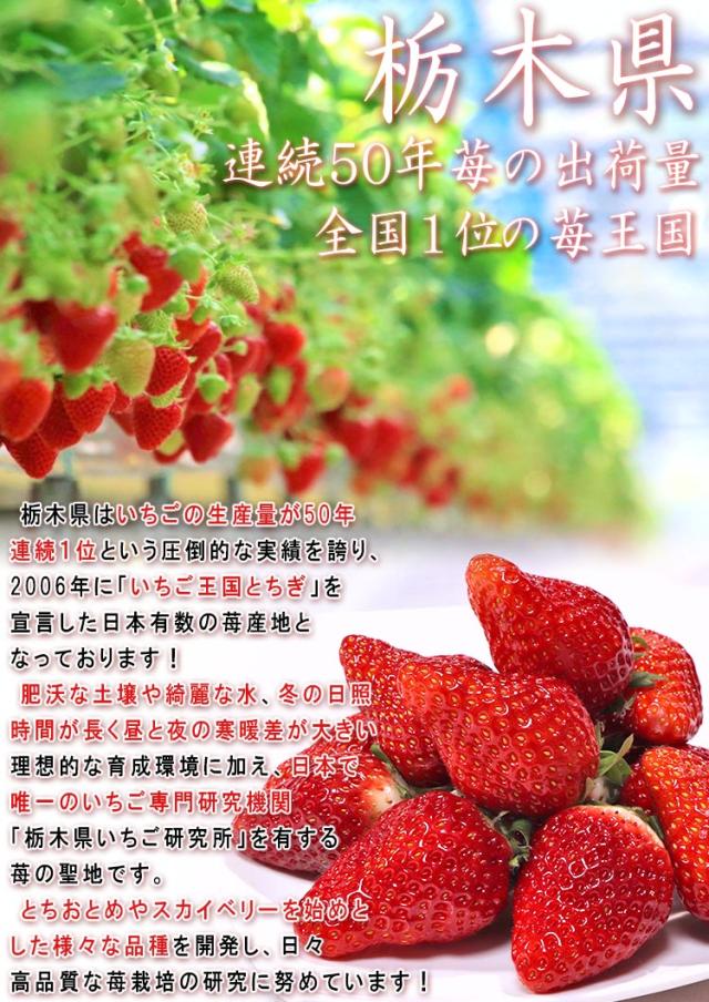 栃木 いちご