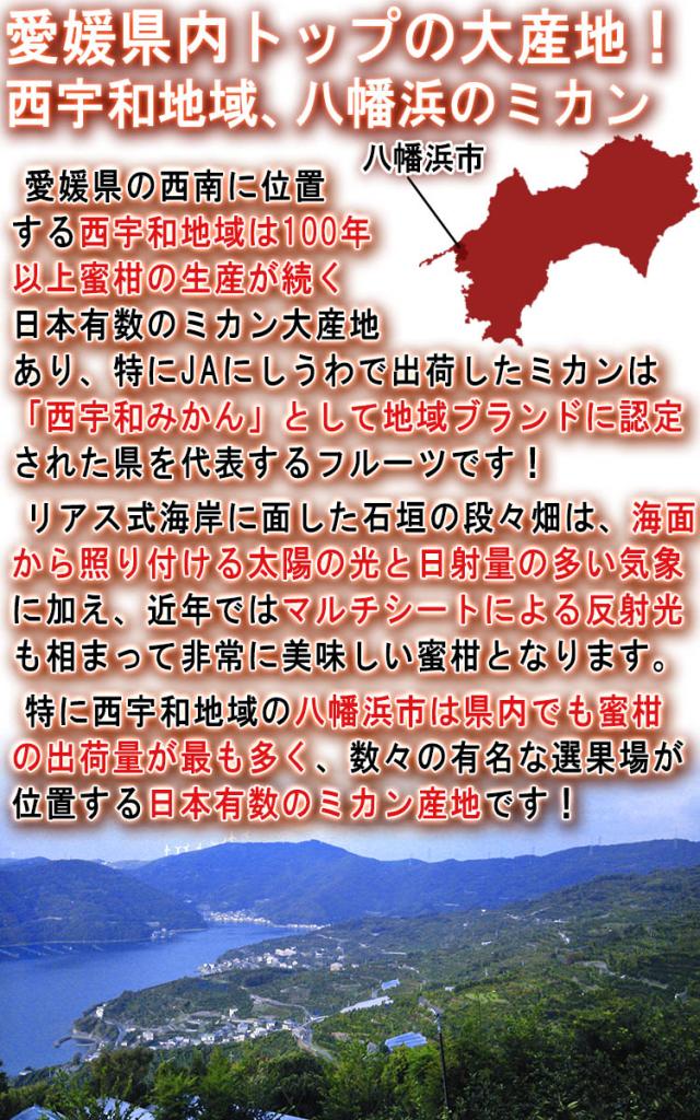 西宇和 ミカン
