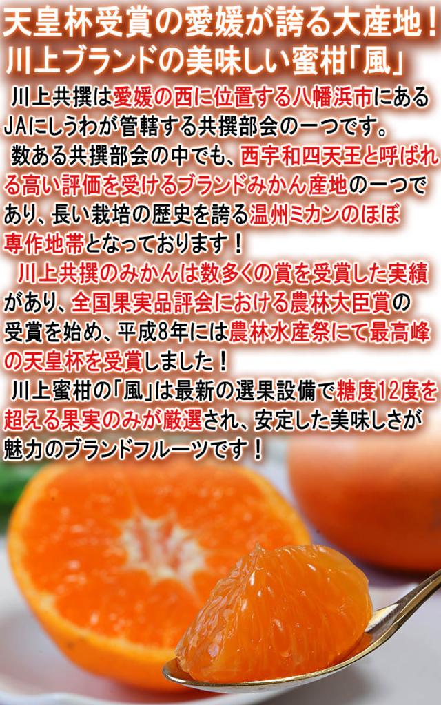 川上 みかん 風