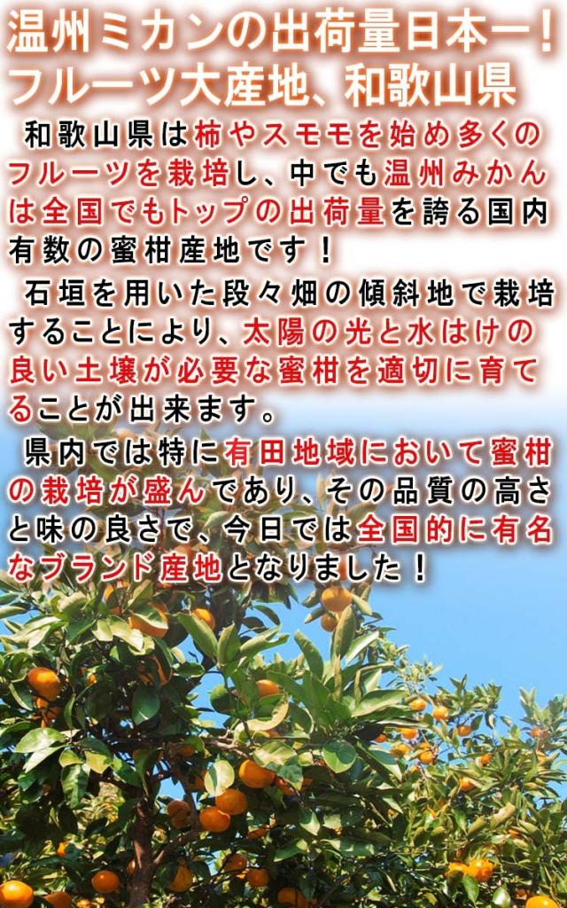 グリーン蜜柑