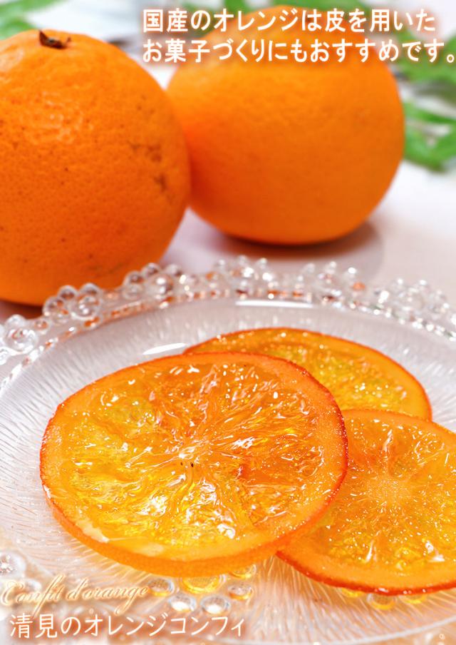 ミカン 清見タンゴール