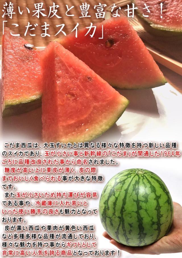 西瓜 こだま