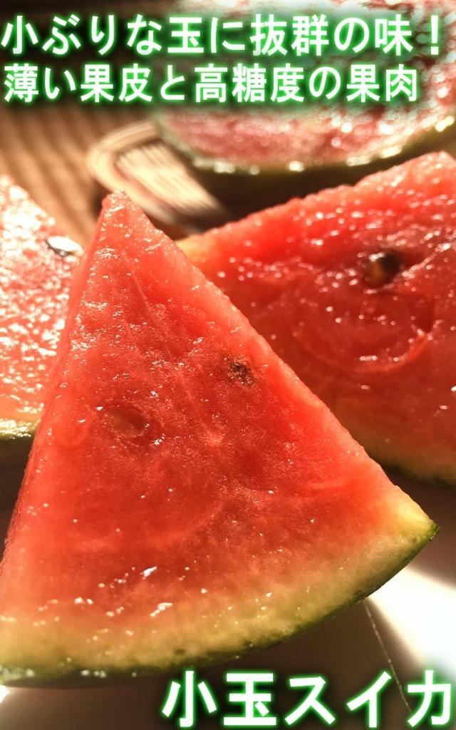 こだまスイカ フルーツ