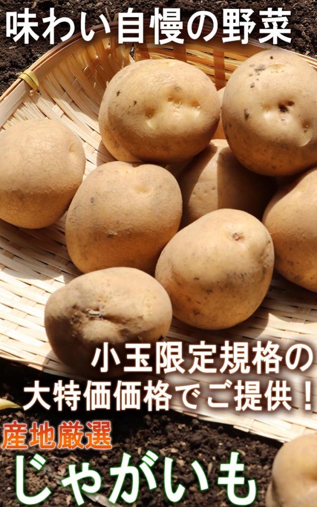 じゃがいも 訳あり