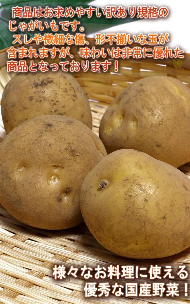 通販 ジャガイモ