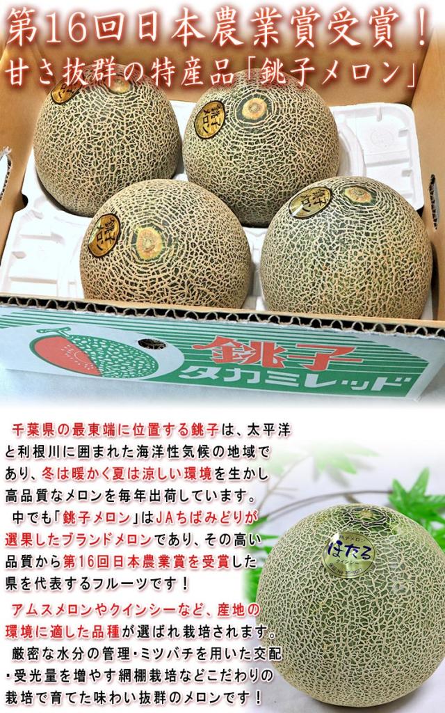 千葉県 フルーツ